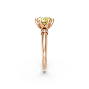 tulips1_shank-rose_head-rose_center-yellow__view-03.png