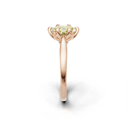 tulips1_shank-rose_head-rose_center-yellow__view-03.png