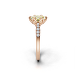 tulips1_shank-rose_head-rose_center-yellow__view-03.png