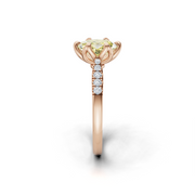 tulips1_shank-rose_head-rose_center-yellow__view-03.png