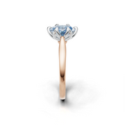 tulips1_shank-rose_head-white_center-blue__view-03.png