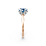 tulips1_shank-rose_head-white_center-blue__view-03.png
