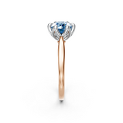 tulips1_shank-rose_head-white_center-blue__view-03.png