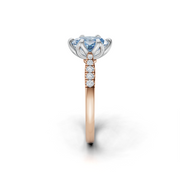 tulips1_shank-rose_head-white_center-blue__view-03.png