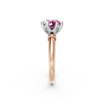 tulips1_shank-rose_head-white_center-pink__view-02.png