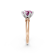 tulips1_shank-rose_head-white_center-pink__view-02.png