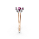 tulips1_shank-rose_head-white_center-pink__view-03.png