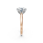 tulips1_shank-rose_head-white_center-white__view-03.png