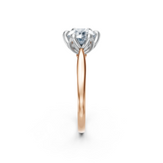 tulips1_shank-rose_head-white_center-white__view-03.png