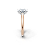 tulips1_shank-rose_head-white_center-white__view-03.png