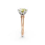 tulips1_shank-rose_head-white_center-yellow__view-02.png