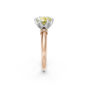 tulips1_shank-rose_head-white_center-yellow__view-02.png