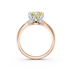 tulips1_shank-rose_head-white_center-yellow__view-03.png