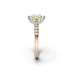 tulips1_shank-rose_head-white_center-yellow__view-03.png