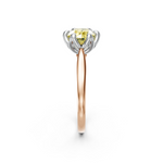 tulips1_shank-rose_head-white_center-yellow__view-03.png
