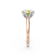 tulips1_shank-rose_head-white_center-yellow__view-03.png