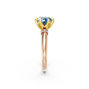 tulips1_shank-rose_head-yellow_center-blue__view-02.png