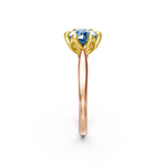 tulips1_shank-rose_head-yellow_center-blue__view-03.png