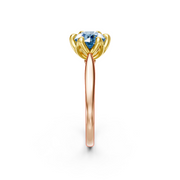 tulips1_shank-rose_head-yellow_center-blue__view-03.png