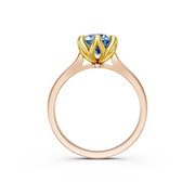 tulips1_shank-rose_head-yellow_center-blue__view-04.png