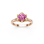 tulips1_shank-rose_head-yellow_center-pink__view-01.png