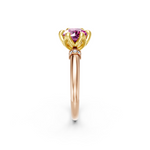 tulips1_shank-rose_head-yellow_center-pink__view-02.png