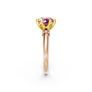 tulips1_shank-rose_head-yellow_center-pink__view-02.png