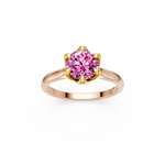 tulips1_shank-rose_head-yellow_center-pink__view-02.png