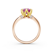 tulips1_shank-rose_head-yellow_center-pink__view-03.png