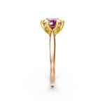tulips1_shank-rose_head-yellow_center-pink__view-03.png