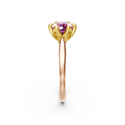 tulips1_shank-rose_head-yellow_center-pink__view-03.png