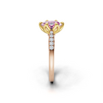 tulips1_shank-rose_head-yellow_center-pink__view-03.png