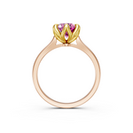 tulips1_shank-rose_head-yellow_center-pink__view-04.png