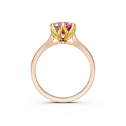tulips1_shank-rose_head-yellow_center-pink__view-04.png