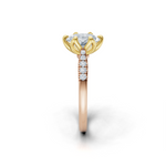 tulips1_shank-rose_head-yellow_center-white__view-03.png