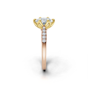 tulips1_shank-rose_head-yellow_center-white__view-03.png