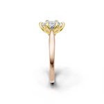 tulips1_shank-rose_head-yellow_center-white__view-03.png
