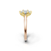 tulips1_shank-rose_head-yellow_center-white__view-03.png