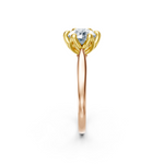 tulips1_shank-rose_head-yellow_center-white__view-03.png