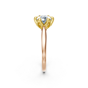 tulips1_shank-rose_head-yellow_center-white__view-03.png