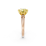 tulips1_shank-rose_head-yellow_center-yellow__view-02.png