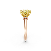 tulips1_shank-rose_head-yellow_center-yellow__view-02.png