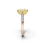 tulips1_shank-rose_head-yellow_center-yellow__view-03.png