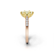 tulips1_shank-rose_head-yellow_center-yellow__view-03.png