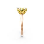 tulips1_shank-rose_head-yellow_center-yellow__view-03.png