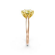 tulips1_shank-rose_head-yellow_center-yellow__view-03.png