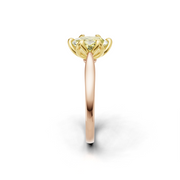 tulips1_shank-rose_head-yellow_center-yellow__view-03.png