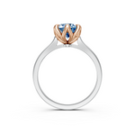 tulips1_shank-white_head-rose_center-blue__view-04.png