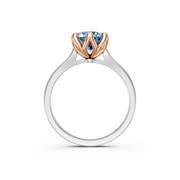 tulips1_shank-white_head-rose_center-blue__view-04.png