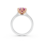 tulips1_shank-white_head-rose_center-pink__view-04.png